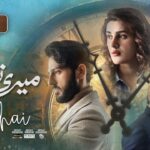 Meri Tanhai Episode 02 Review – Best HUM TV 2025